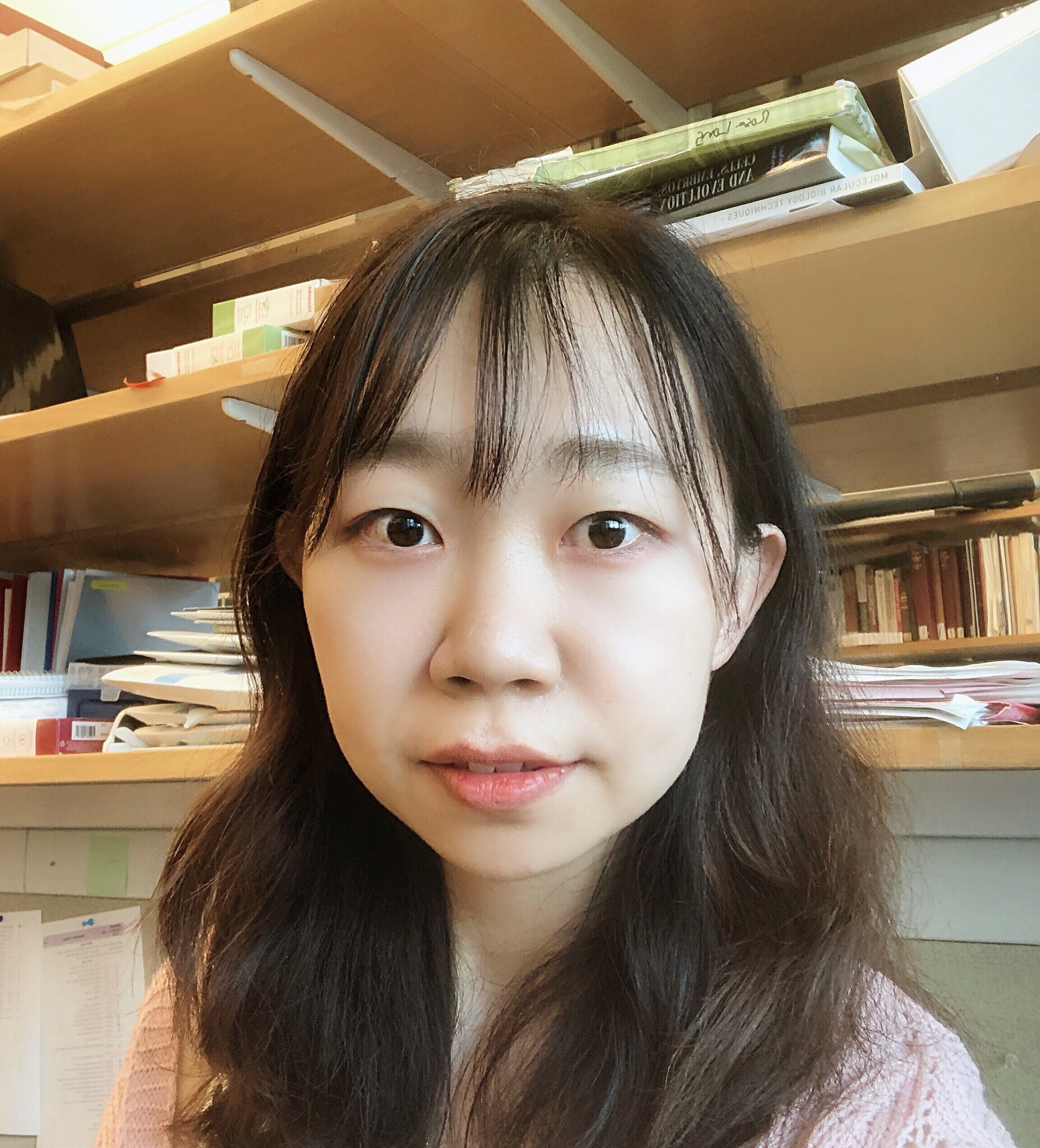 Meng Zhu : Postdoctoral Fellow